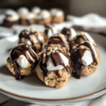 No Bake S'mores Cookie Dough Bites